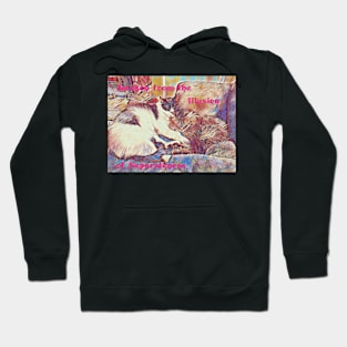 Awaken to the Illusion of Separateness Kitties in Love Hoodie